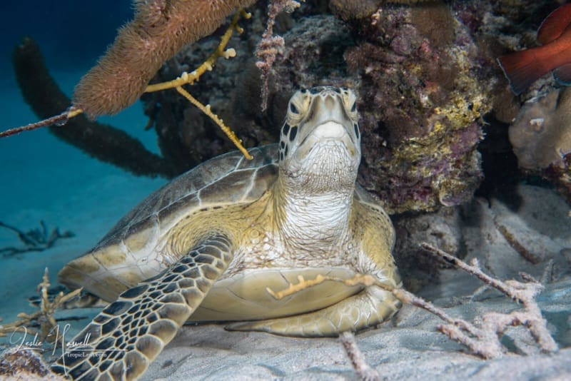 Bonaire_2021-09-14_10-21-31