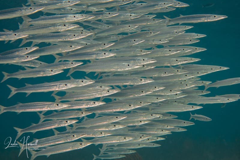 Bonaire_2021-09-14_10-51-35