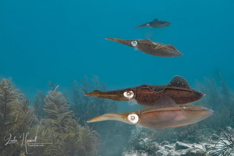 Bonaire_2021-09-17_12-29-31-Edited-_20210917