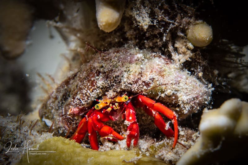 Bonaire_2021-09-19_19-20-07