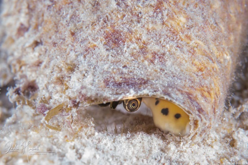 Bonaire_2021-09-21_15-27-30