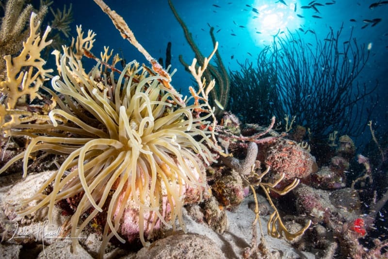 Bonaire_2021-09-23_10-23-57