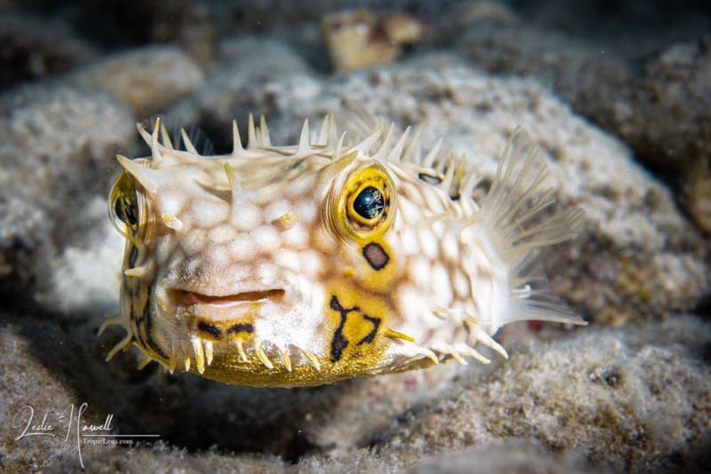 Bonaire_2021-09-25_14-02-47