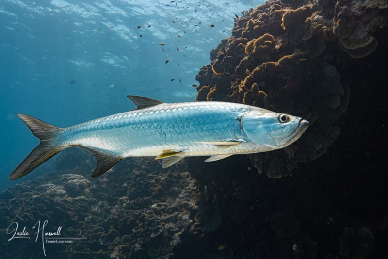 Bonaire_2021-09-30_11-35-53