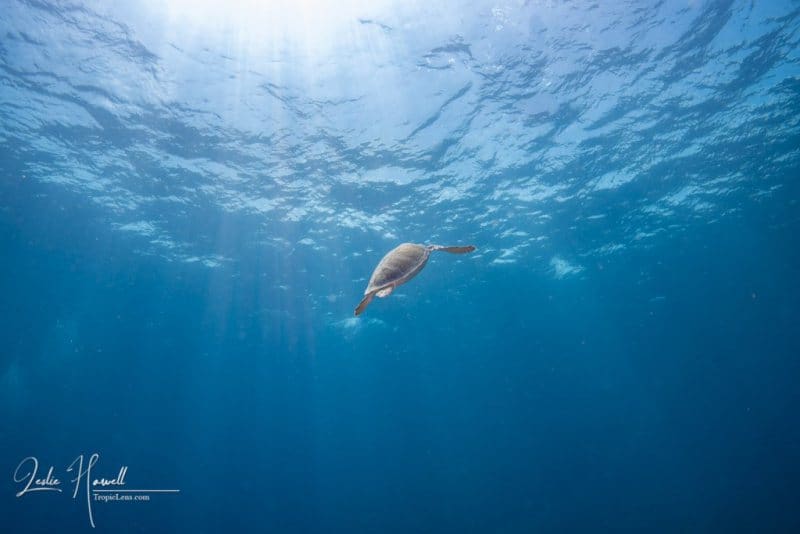 Bonaire_2021-09-30_11-58-19-Edited-_20210930