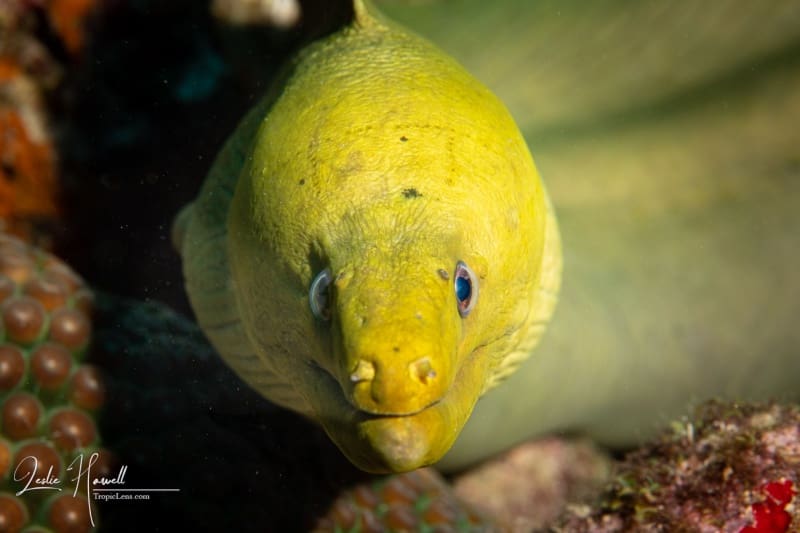 Aruba_2020-08-08_08-49-39