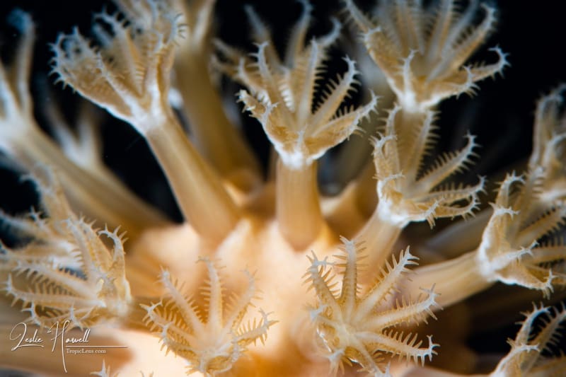 Aruba_2020-08-18_09-12-30