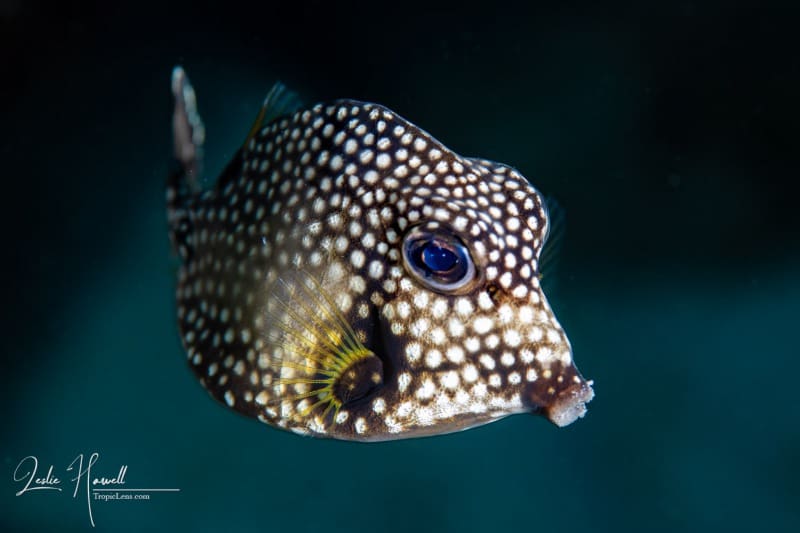 Aruba_2020-09-04_10-36-43