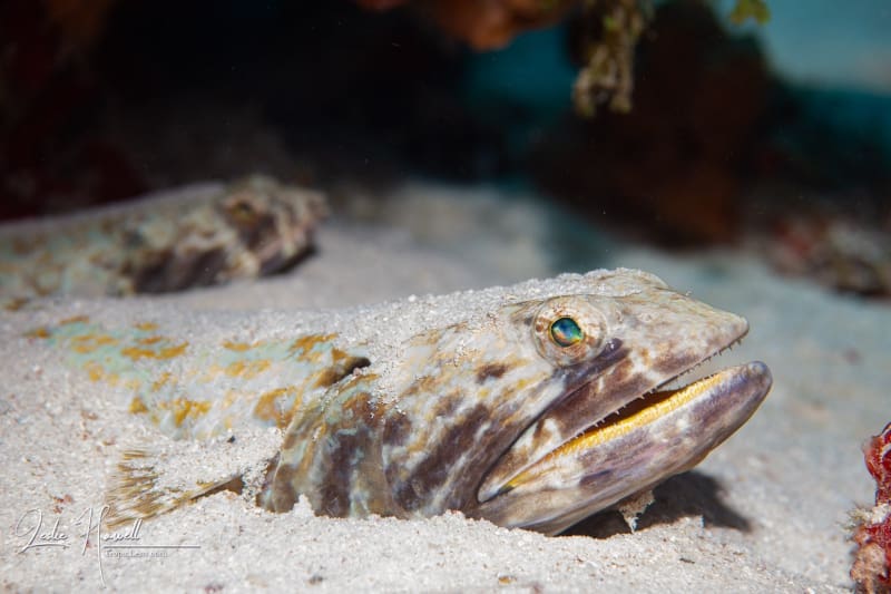 Aruba_2020-09-22_10-41-03