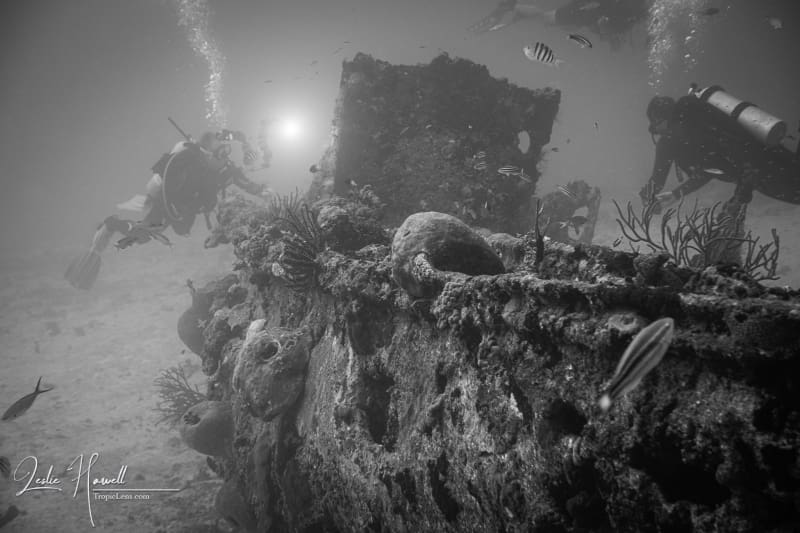 Aruba_2020-11-07_08-28-06