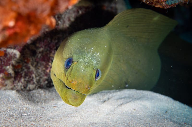 Aruba_2020-11-10_10-38-36