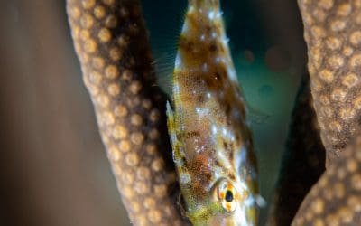 January 2021 / Week 2