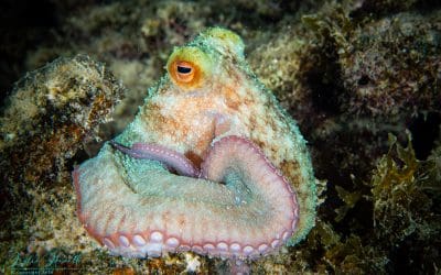 January 2021 / Week 4