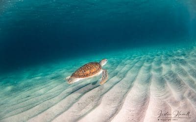 February 2021 / Week 3