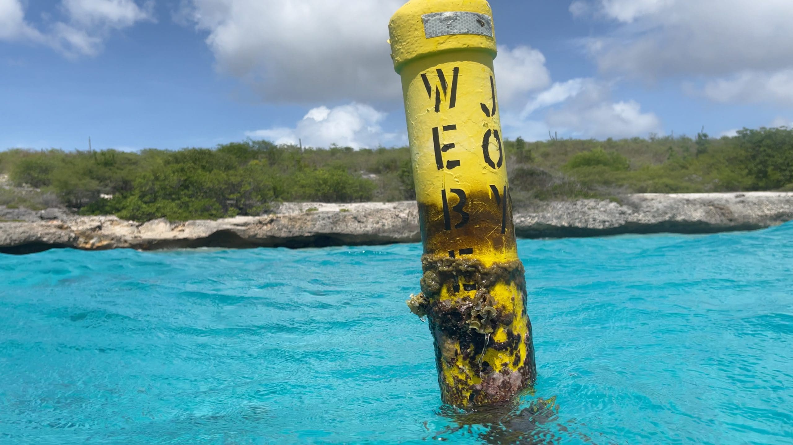 Webers-Joy-Dive-Marker-Buoy