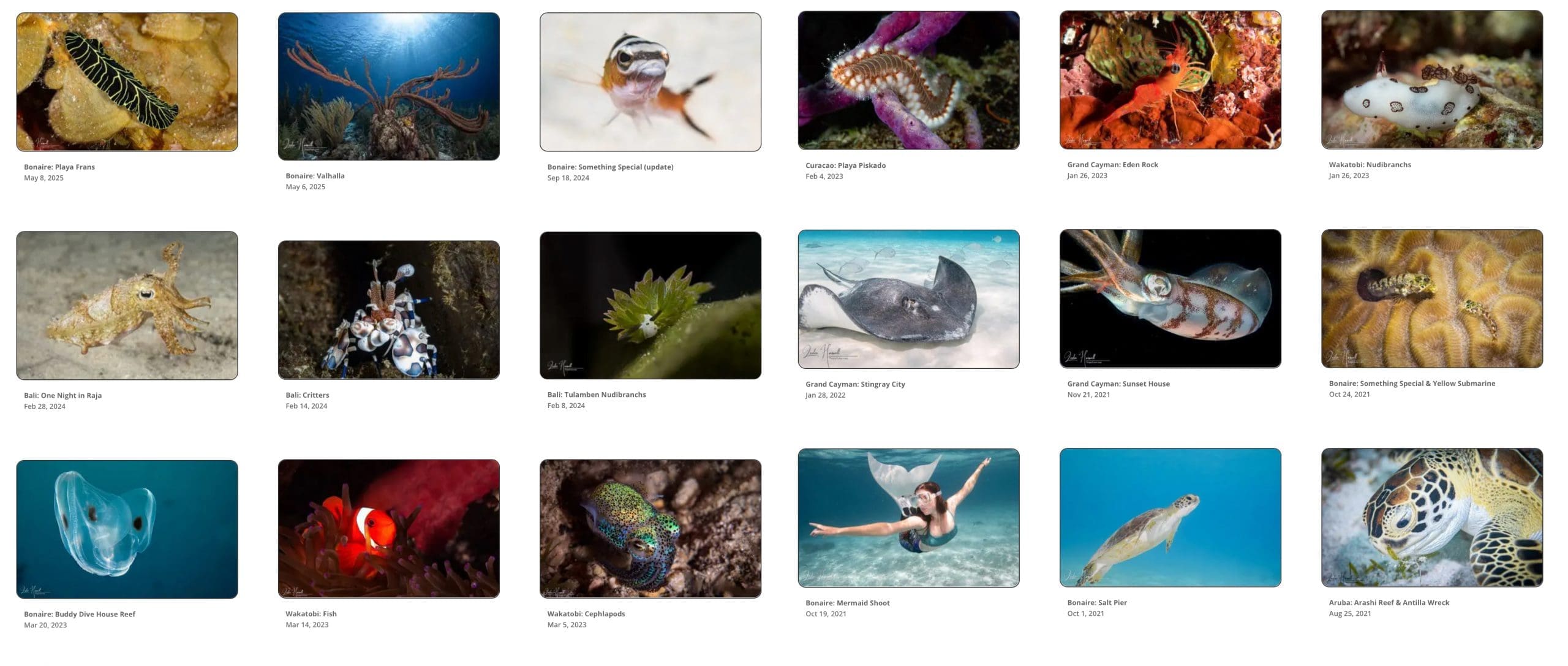 HP_View all PG images composite